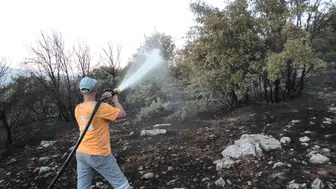 Adıyaman Besni’de orman yangını paniği