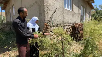 Hakkari’de tek ineğini kaybeden aileye 12 hayvanlık destek