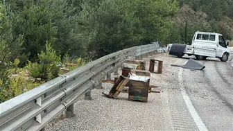 Kastamonu'da arı yüklü kamyonet kaza yaptı