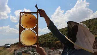 Bingöl Karlıova’da arıcılar yılın en kaliteli bal hasadı için hazırlanıyor