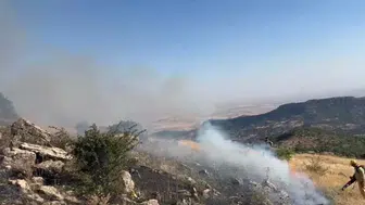Diyarbakır Hazro'da 20 hektarlık alan yandı