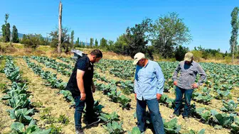Afyonkarahisar tarlalarında hastalık nöbeti başladı