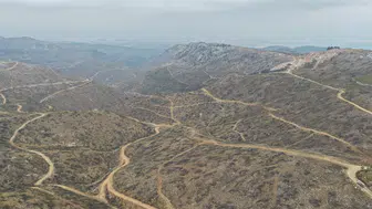 Silifke yangınında küle dönen ormanlar yeniden yeşeriyor