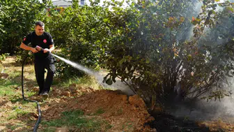 Düzce'de anız yangınları tehlike saçıyor