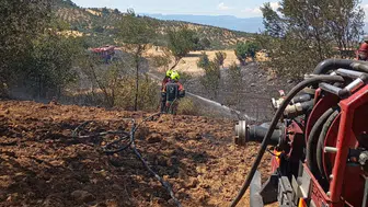 Burhaniye Pelitköy’de tarla yangını paniği