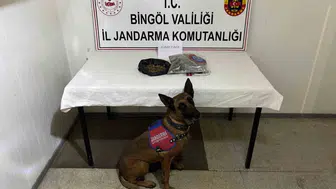 Bingöl jandarmasından suçlulara geçit yok