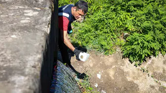 Sapanca Gölü'nü korumak için Mollaköy'den su taşınıyor