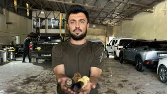 Yıkamacıdan kuluçka fabrikasına Yüksekova’da sıra dışı girişim