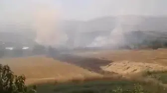 Elazığ Tadım köyünde otluk yangını paniği