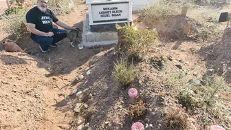 Aydın'da bir kedi sahibinin mezarını bekliyor