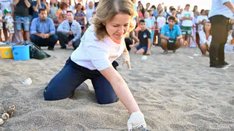 Çıralı sahili küçük caretta carettalara ev sahipliği yapıyor