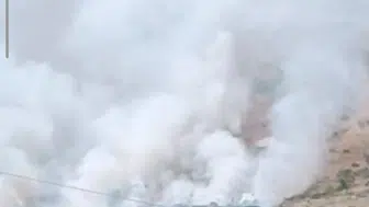 Bitlis dağlarındaki yangın arıcıları vurdu