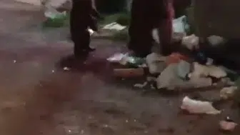 Karslı vatandaşın ayı ailesine söylediği türkü sosyal medyayı gülümsetti