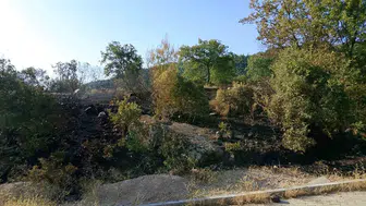 Denizli Buldan’da çıkan yangın ormana sıçramadan söndürüldü