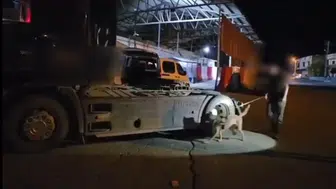 Şırnak yolunda durdurulan tırda uyuşturucu zulası çıktı