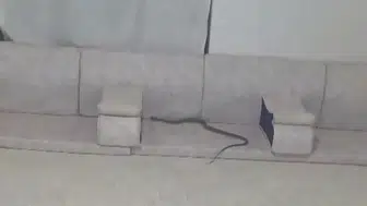 Hakkari’de akşam yemeği hazırlığı bir anda kabusa dönüştü