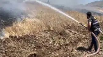 Elazığ’da rüzgarın körüklediği yangın 35 dönüm ürünü yaktı