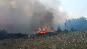 Muğla Yenice’de yangın ormana sıçradı ekipler havadan ve karadan müdahale ediyor