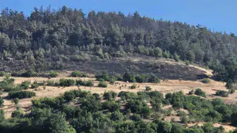 Balıkesir Altıeylül'de orman yangını söndürüldü