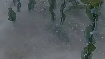 Sapanca Gölü tabanında görülen esrarengiz beyaz kütle alarm verdi