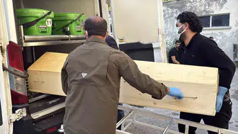 Sivas’ta kene kaynaklı ölümler artıyor