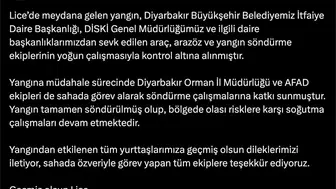 Lice alevlere teslim olmuştu ekipler yangını söndürdü