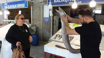 Mersin tezgahlarında iki metrelik dev yılan balığı şaşkınlığı