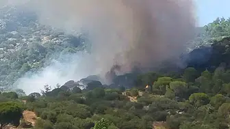 Muğla Kavaklıdere ormanlarında yangın paniği