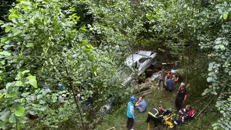 Trabzon Sürmene'de kamyonet fındık bahçesine uçtu