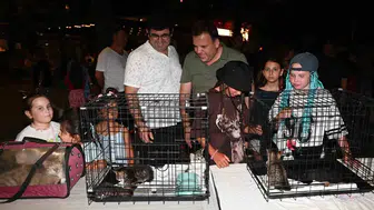 Kemer sokak hayvanları için ezgilerle buluştu