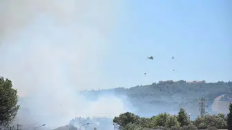 İzmir'de ot yangını ormana sıçradı
