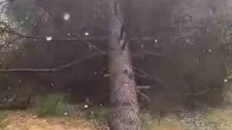 Erbaa'da fırtına hayatı felç etti
