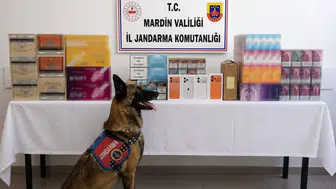 Mardin'de jandarma kaçak tütün ticaretine geçit vermedi