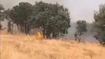Lice kırsalında alevler evlere doğru ilerliyor