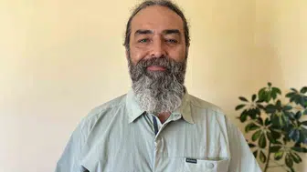 Mersin kıyılarında zehirli kedi balığı tehlikesi