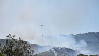 Bornova’da orman yangını korkuttu