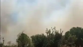 Sındırgı ormanlarında yangın paniği
