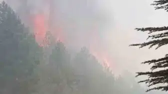 Adıyaman Sincik’teki orman yangını söndürüldü