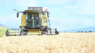 Denizli’de yerli tohumla verim artışı hedefleniyor