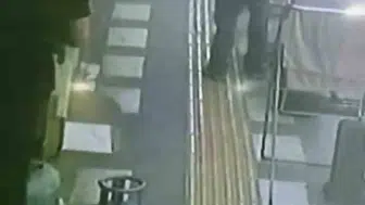 Kızıltepe'de gündüz gözüyle papağan hırsızlığı