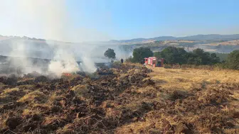 Bandırma'da hasat zamanı buğday tarlasında korkutan yangın