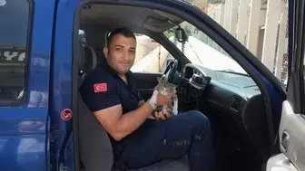 Amasya'da otomobilin motoruna sıkışan kediye itfaiye müdahalesi