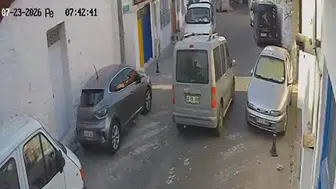 Muğla'da vicdansız sürücü iki kediyi ezip yoluna devam etti