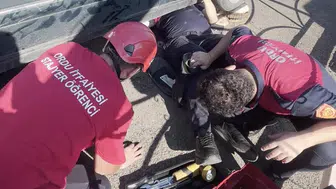 Ordu’da otomobilin altına saklanan kedi kurtarma operasyonu