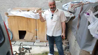 Adana'da kedi maması hırsızlığına güvenlik kamerası yakaladı