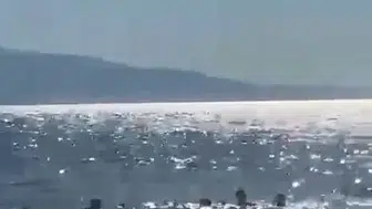 Gemlik sahilinde dubaları aşan aile az kalsın boğuluyordu