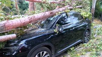 Beykoz'da fırtına bir aracı kullanılamaz hale getirdi