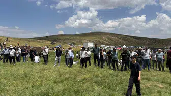 Bingöl Çotla Yaylası’nda silah seslerinin yerini davul sesleri aldı