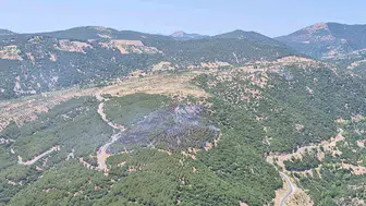 Aydın Kuyucak'ta orman yangını korkusu sona erdi