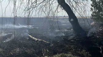 Konya Karatay’da karganın sebep olduğu anız yangını korkuttu